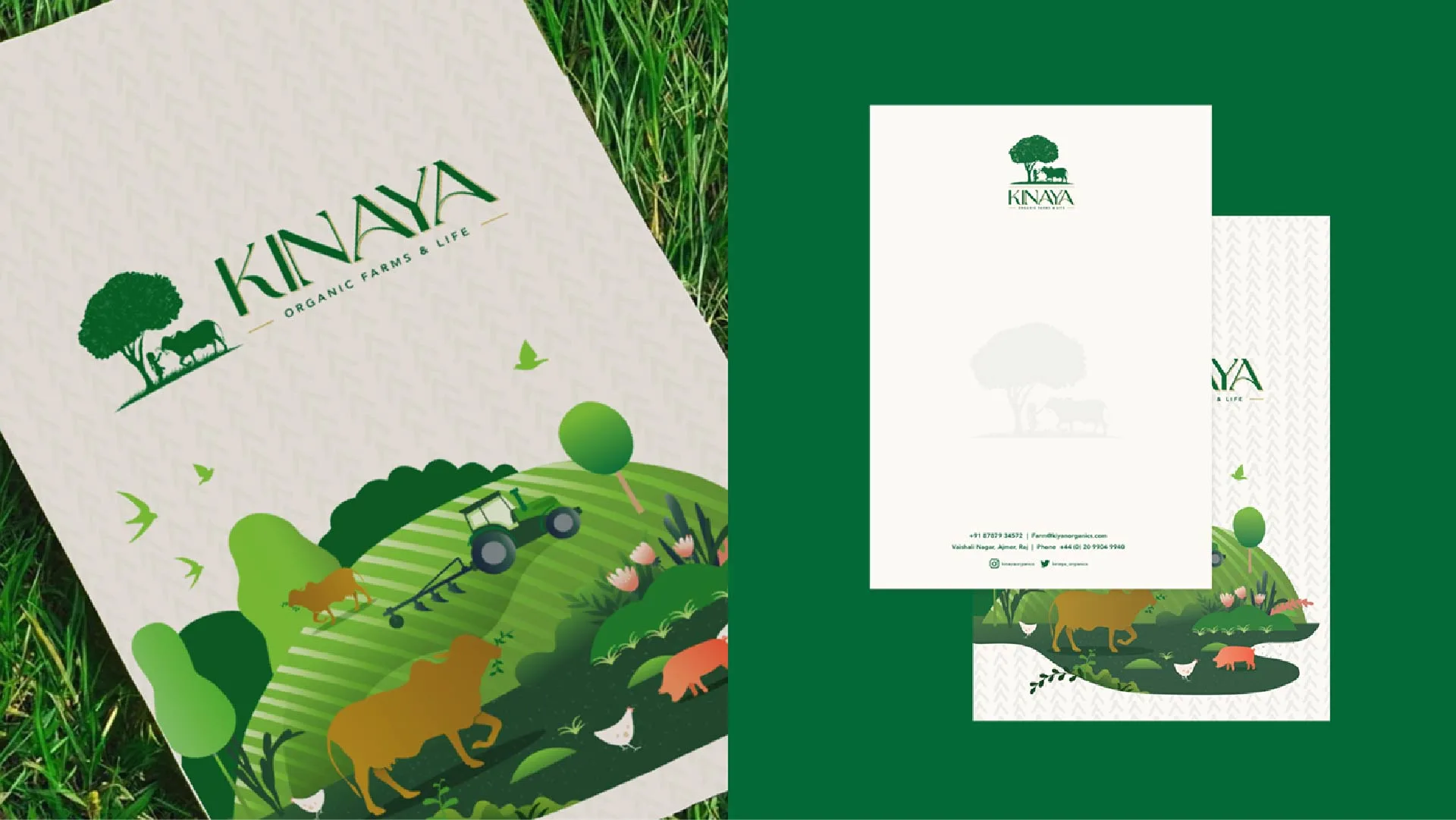 verunia branding by vowels branding